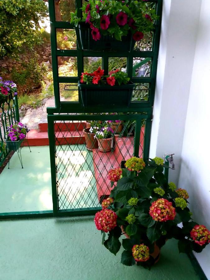 Apartman Kristin โปดาซา ภายนอก รูปภาพ