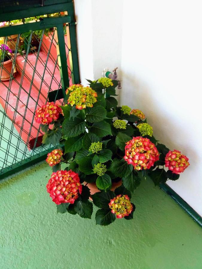 Apartman Kristin โปดาซา ภายนอก รูปภาพ